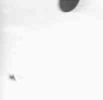 golfwar1.jpg (1506 bytes)